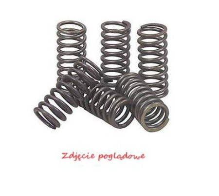 sprężyny sprzęgłowe kawasaki klx 450r '08-'12, kx 450f '06-'11