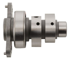 wałek rozrządu yamaha raptor yfm 700 (09)