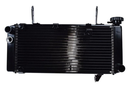 Chłodnica cieczy do Suzuki Sv1000 03-08