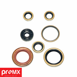 komplet (zestaw) uszczelniaczy silnikowych ktm 250sx-f (06-11) (7szt.)
