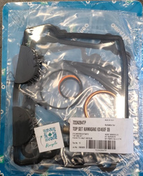 USZCZELKI TOP-END KAWASAKI KX 450 F , KXF 450 '09-'16 (Z USZCZELKĄ POKRYWY ZAWOROWEJ)