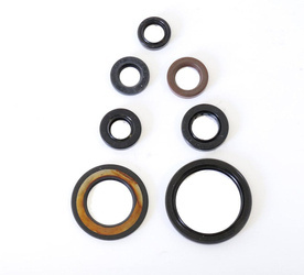 Athena komplet (zestaw) uszczelniaczy silnikowych yamaha yfm 700 raptor 06-18, yfm 700 r raptor 07-18