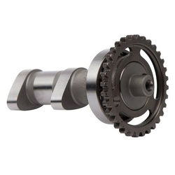 wałek rozrządu (wydechowy) suzuki rm-z 450 '08-'14 (rm-z450)