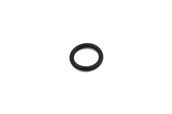 O-Ring 19x3,55mm Apollo Rfn