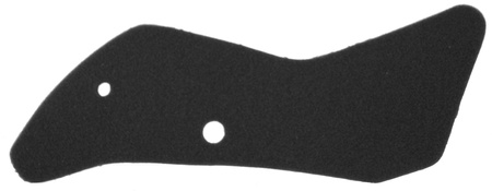 Filtr Powietrza Malaguti Password 250 Rms 10 060 1210