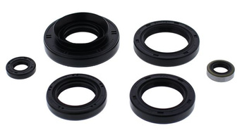 Winderosa (vertex) komplet (zestaw) uszczelniaczy silnikowych kawasaki kvf750 brute force 12-14, teryx 750 4x4 13