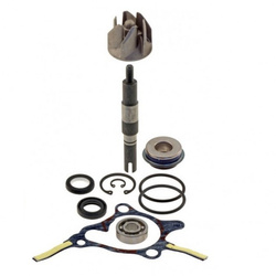 Zestaw Naprawczy Pompa Wody Honda Foresight 250