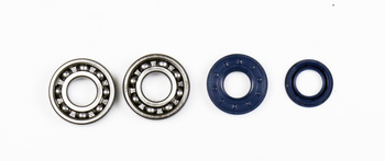 ŁOŻYSKA WAŁU KORBOWEGO Z USZCZELNIACZAMI APRILIA AMICO/GULLVER/RALLY/SCARABEO 50 '90-'99, YAMAHA BOOSTER/BWS/CW/YA/YM BREEZE 50 '90-'99, MALAGUTI CENTRO/F10/F12/F15/YESTERDAY 50 '92-'98, MBK EVOLIS/FORTE/YM FIZZ 50 '92-'96