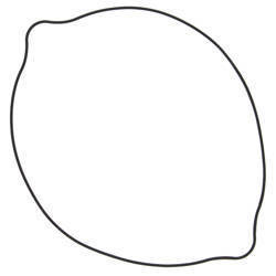 Winderosa (vertex) uszczelka pokrywy sprzęgła suzuki rm 250 (rm250) 96-09 (oring) (zewnętrzna)
