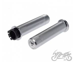 Manetka calowa srebna 698