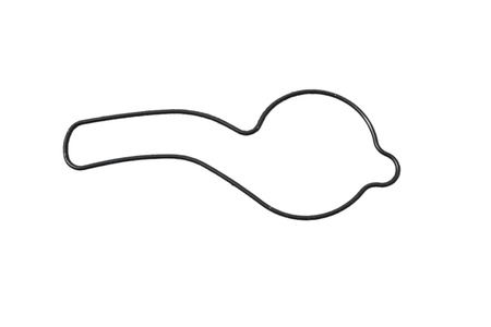 USZCZELKA POMPY WODY HONDA CRF 150R, '07-'25