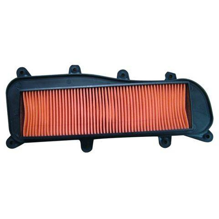 Filtr powietrza kymco people 125/200/300 '10-16, (50)