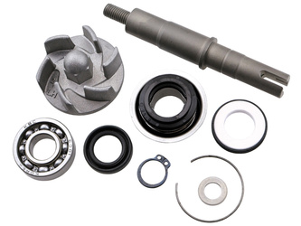 Zestaw Naprawczy Pompa Wody Daelim St / Ns 125