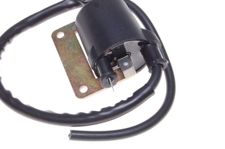 Cewka zapłonowa skutery Aprilia Piaggio Gilera 125