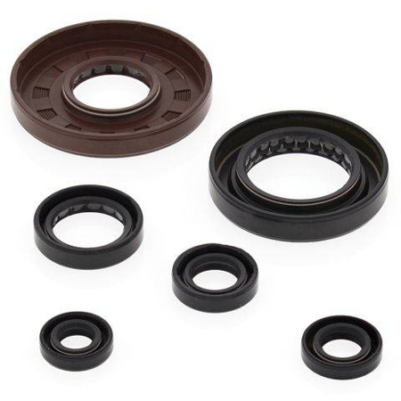 Winderosa (vertex) komplet (zestaw) uszczelniaczy silnikowych honda trx500fe '05-'11, trx500fpe '07-'11