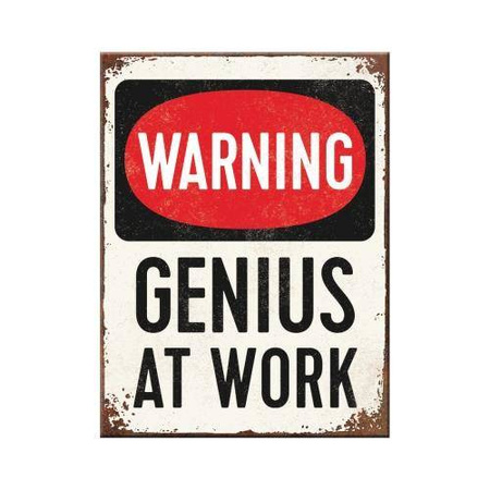 Magnes Genius At Work 14352