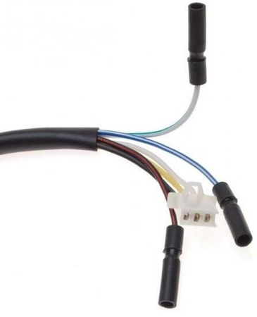 Stator iskrownik skuter 2T 6 Przewodów Keeway Zipp