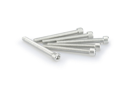 Śruby z anodyzowanego aluminium blister 6 śrub imbusowych m6x55mm srebrne