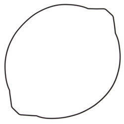 Winderosa (vertex) uszczelka pokrywy sprzęgła yamaha yz 250 99-19 (oring) (zewnętrzna)