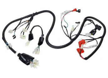 Instalacja elektryczna silnika do Longjia LJ50QT-9