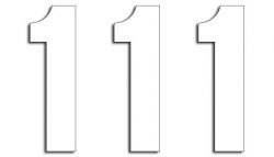 Numery startowe 13cm x 7cm proste, kolor biały nr1 (3szt.)