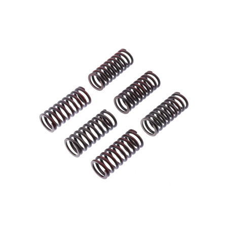Trw lucas sprężyny sprzęgłowe ducati monster 620 / 696 / 800 05-14, scrambler 800 15-,