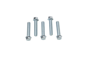 ŚRUBA KOŁNIERZOWA M6X30MM Z PŁASKIM ŁBEM BEZ OZNACZEŃ (5 SZT.)