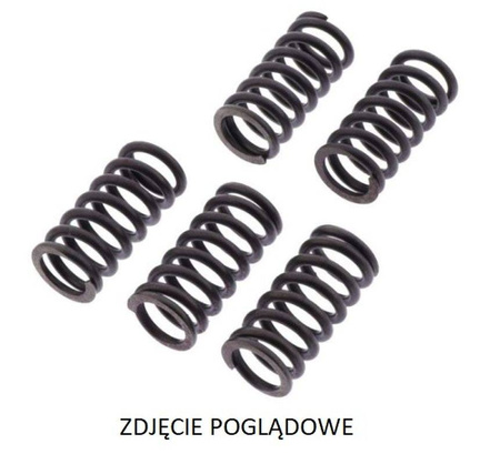 Trw lucas zf sprężyny sprzęgłowe ducati monster 1200 '19-, multistrada 1200 '10-'14, xdiavel 1260 '16-, panigale superleggera 1299 '17-,