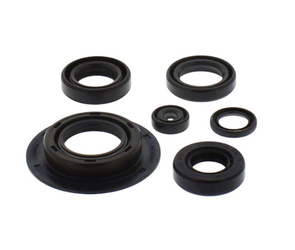 Tourmax komplet (zestaw) uszczelniaczy silnikowych honda cx 500 '80-'82 (made in japan)