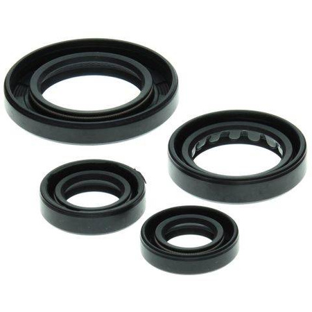 Winderosa (vertex) komplet (zestaw) uszczelniaczy silnikowych honda trx250 recon 97-01