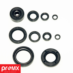 komplet (zestaw) uszczelniaczy silnikowych yamaha yz 125 (93-97) (10szt.)