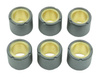 Rolki wariatora 6 szt. 20 x 17 mm 10,5 gr. Yamaha x-max/x-city/majesty 125, aprilia atlantic/leonardo 125,kymco movie/dink 125, piagigo libe