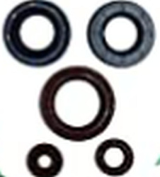 Winderosa (vertex) komplet (zestaw) uszczelniaczy silnikowych can-am outlander dps 450 efi 15-20, outlander max dps 450 efi 15-20,