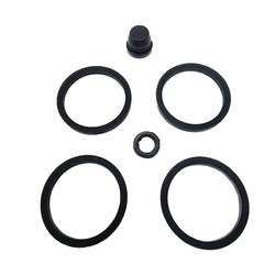 Zestaw naprawczy zacisku hamulcowego betamotor 80/125/200/250/270/290/300 evo, rev3