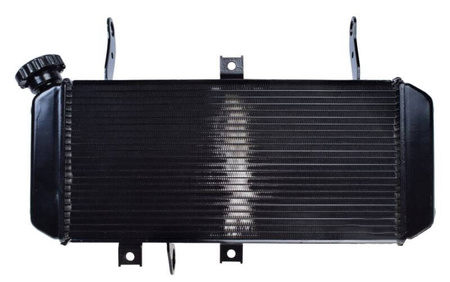 Chłodnica cieczy Suzuki SV650