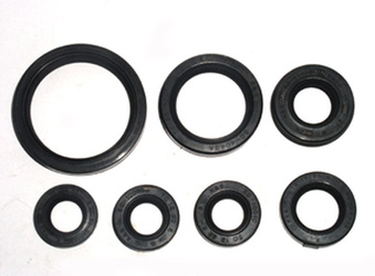 komplet (zestaw) uszczelniaczy silnikowych yamaha yfm660 raptor '01-'05 (7 szt.) (at-09645)