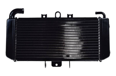 Chłodnica cieczy Yamaha 50 Aerox 4 i Neos 4