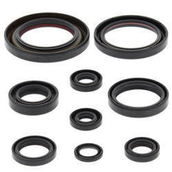 Winderosa (vertex) komplet (zestaw) uszczelniaczy silnikowych honda trx450 er 06-14, trx450r 06-09