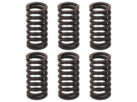 sprężyny sprzęgłowe suzuki lt 230 '85-'88, lt 250sk/sl/rf/rm 87-'92, lt 500 '87-'90,