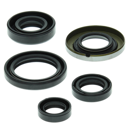 Winderosa (vertex) komplet (zestaw) uszczelniaczy silnikowych honda trx400 ex 99-04