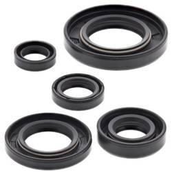 Winderosa (vertex) komplet (zestaw) uszczelniaczy silnikowych honda nx 650 dominator, xr 650l '93-'18