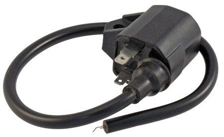 Cewka Zapłonowa Epicuro 125/150 Rms 24 601 0112