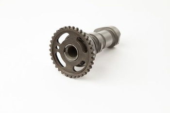 wałek rozrządu kawasaki kfx 450 r atv 08-09