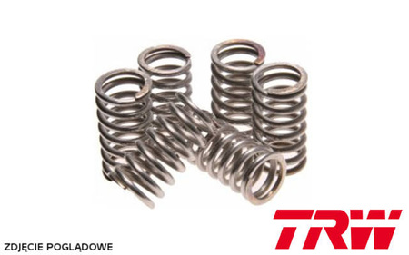 Trw lucas sprężyny sprzęgłowe honda cb 750 seven fifty 92-03, suzuki vl-lc intruder 125 00-08, gn 250 84-99, (ebs006)