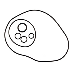 Zestaw O-Ringów Silnika Px