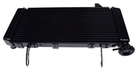 Chłodnica cieczy do Suzuki Sv1000 03-08