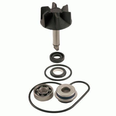 Zestaw Naprawczy Pompa Wody Burgman 125 / 250 / 400 Epicuro