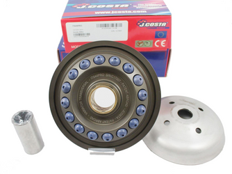 Wariator jcosta sh300 forza300 j.costa