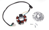 Stator iskrownik 6 cewek do Derbi Senda 2008