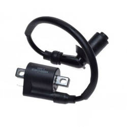 Cewka zapłonowa do ATV Bashan BS250S-5